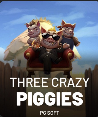 Three Crazy Piggies